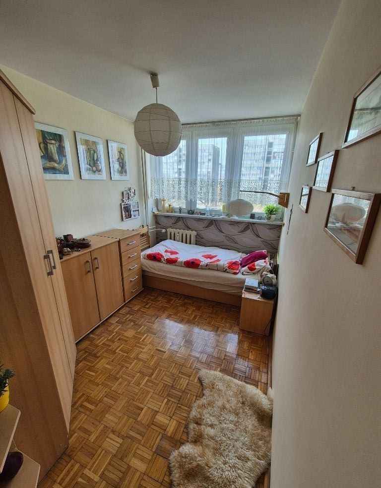 2pok, 39met, Okolice Głogowskiej PIWNICA/WINDA (Wrocław) Stare Miasto - zdjęcie 3