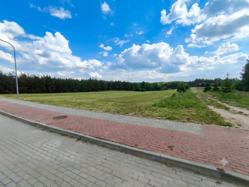 Działka inwestycyjna Pod Farmę Fotowoltaiczną Nielbark - zdjęcie 3