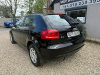 Audi A3 Bardzo Zadbany**140 KM**Tylko 2 Właściciel Ruda Śląska - zdjęcie 5