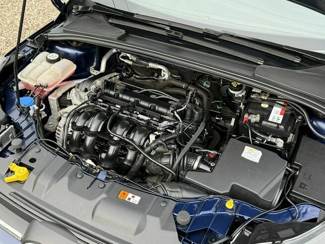 Ford Focus *zwykły silnik*bi-xenony*super stan*z Niemiec* Dąbrowa - zdjęcie 8