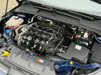 Ford Focus *zwykły silnik*bi-xenony*super stan*z Niemiec* Dąbrowa - zdjęcie 8