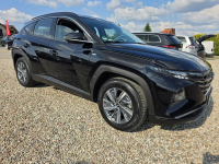 Hyundai Tucson 1.6 T-GDI 150PS Full Led Navi Kamera Gwarancja Gniezno - zdjęcie 11