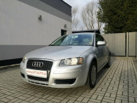 Audi A3 1.9 TDI 105KM # Klima # Elektryka # Po wymianie rozrządu