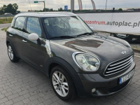 Mini Countryman Lipówki - zdjęcie 5