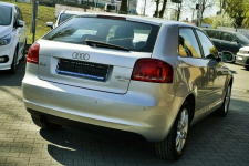Audi A3 1,6TDI Klima, alu, Xenony, 2009r. Płock - zdjęcie 6