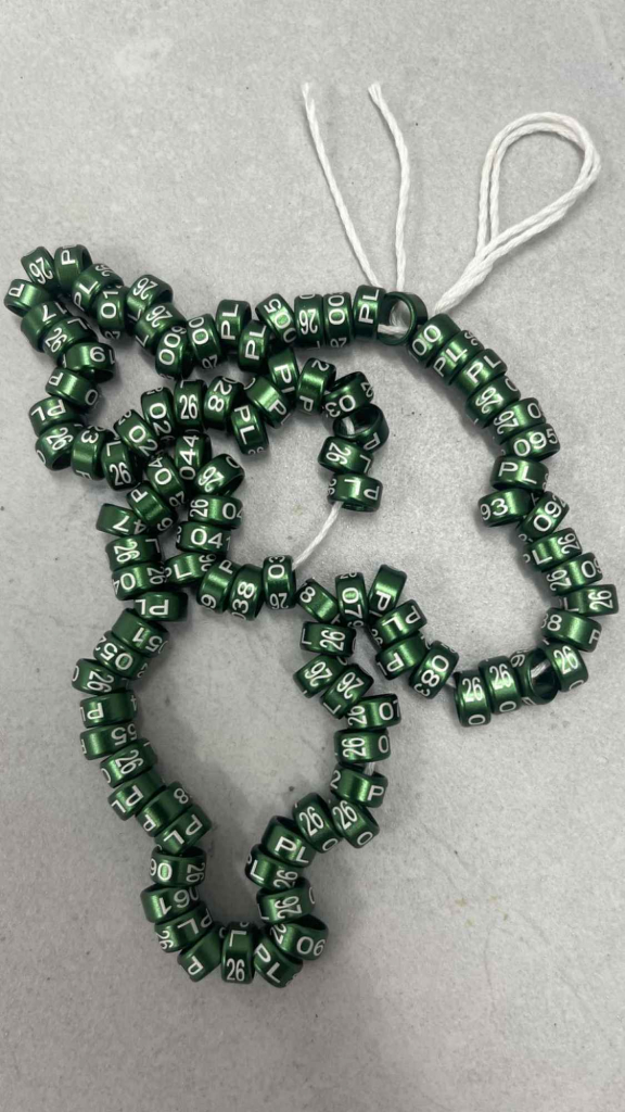 Obrączki aluminiowe dla drobnej egzotyki, papug na 2026 Sucha Beskidzka - zdjęcie 4