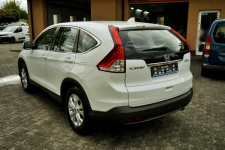 Honda CR-V 1,6iDTEC City Runner, kamera, 120KM, 2014r. Płock - zdjęcie 7