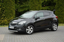 Innovation 4x4 Xenon Led Navi 2xParktronic Skóry Aso Opel Alu17" Ostrów Mazowiecka - zdjęcie 3