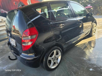 Mały wariacik Nakło nad Notecią - zdjęcie 6