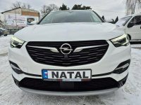 Opel Grandland X Najbogatsza wersja* Skora* Model 2019 Bydgoszcz - zdjęcie 6