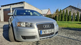 Sprzedam Audi A3 8P z 2008r. Kalisz - zdjęcie 2