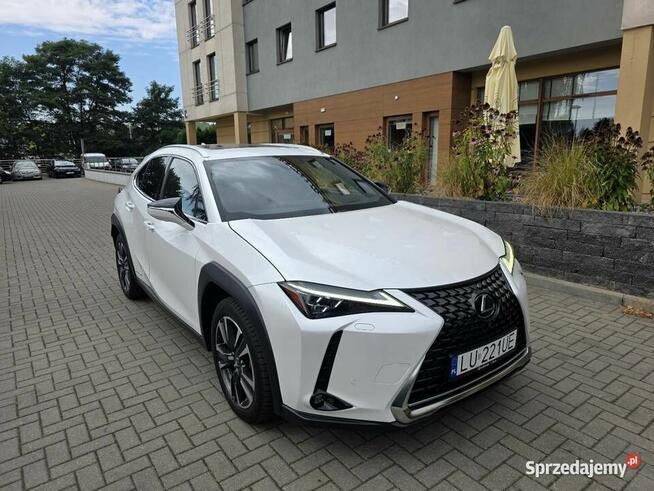 Lexus UX 250H Omotenashi /Mark Levinson Lublin - zdjęcie 4