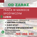 Praca w markecie, Dino Polska S.A. Lubin
