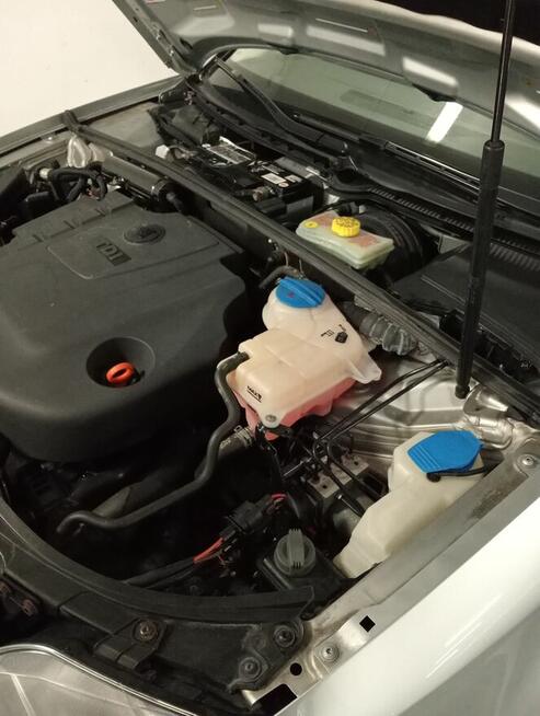 Sprzedam Starogard Gdański - zdjęcie 11