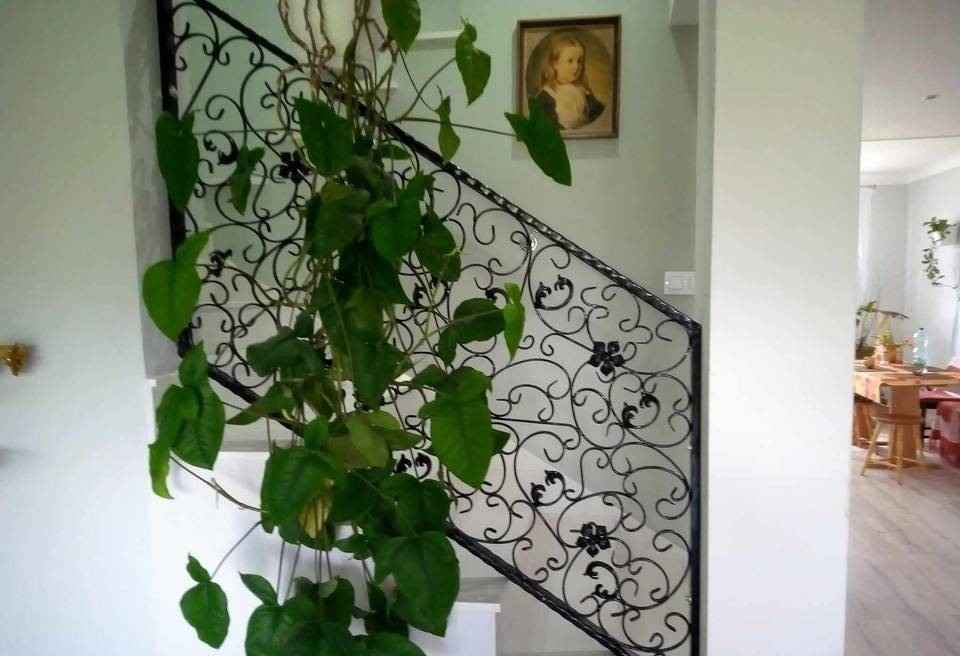 Bramy Ogrodzenia i Balkony Pichorowice - zdjęcie 2