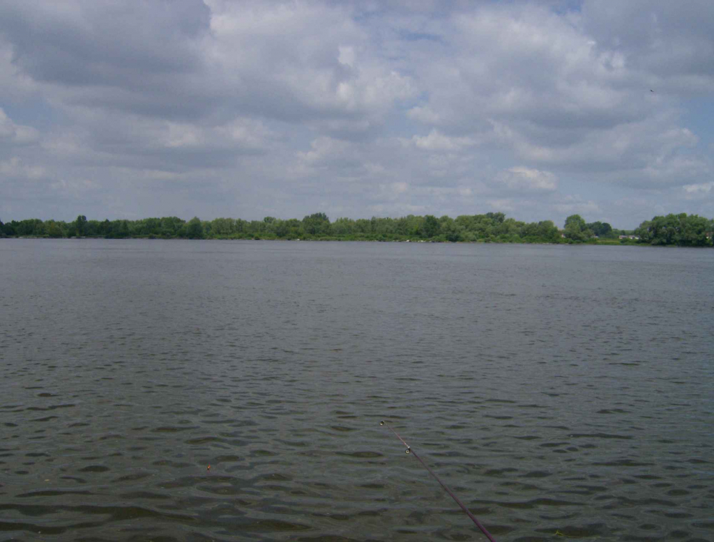 Niepełnosprawna lub zdrowa szanująca niepełnospr.poszukiwana! Sochaczew - zdjęcie 4