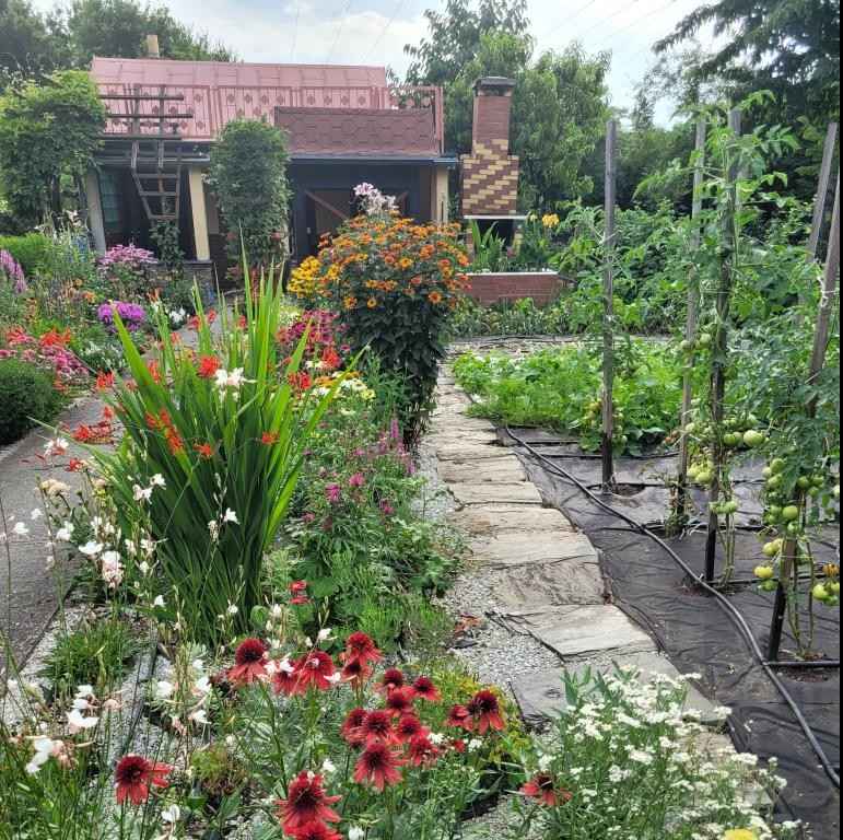 DZIAŁKA REKREACYJNA Fabryczna - zdjęcie 2