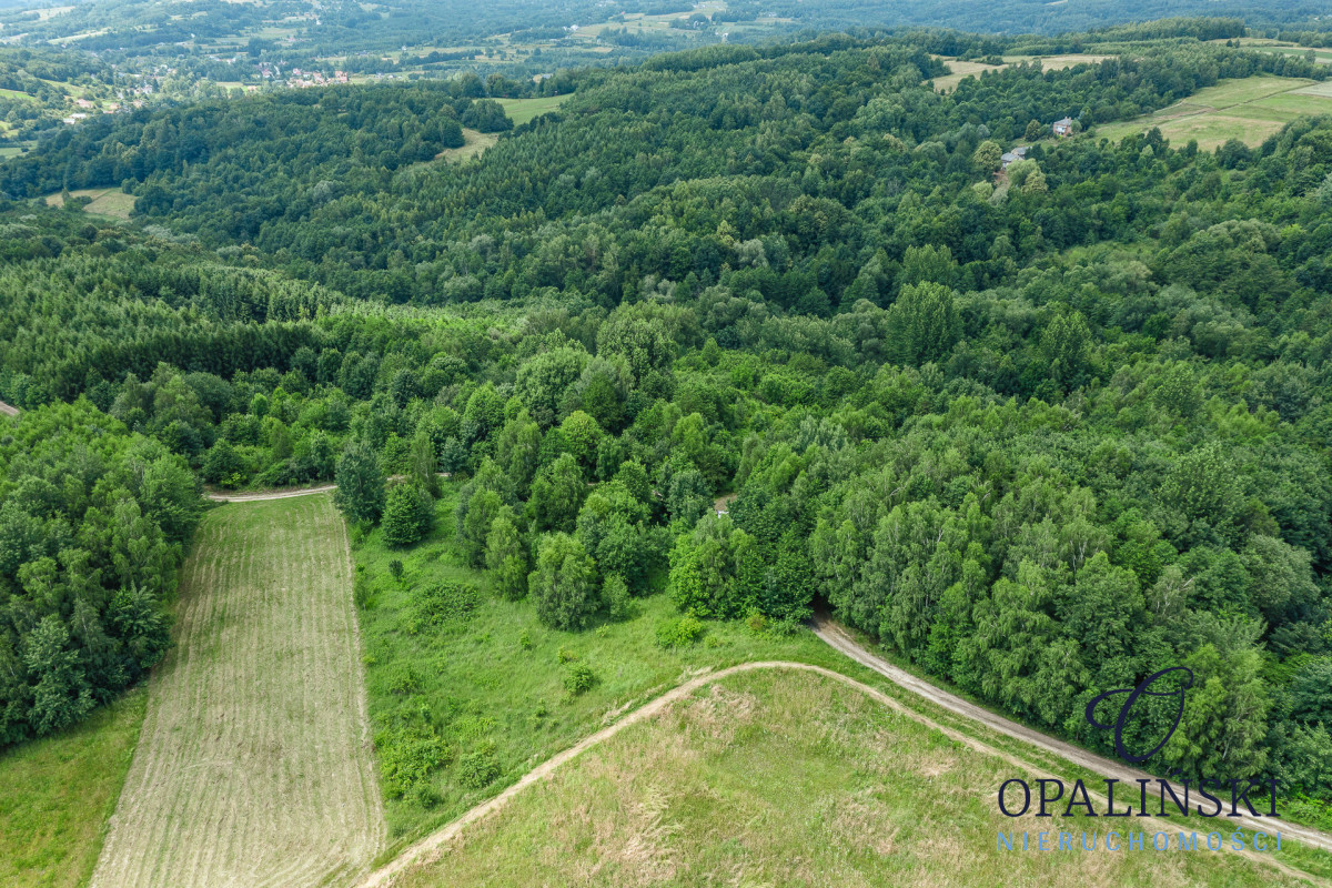 20 km od Rzeszowa | 2, 61 ha |  Cicha okolica Straszydle - zdjęcie 11