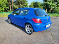 Peugeot 307 2004r Opole - zdjęcie 6