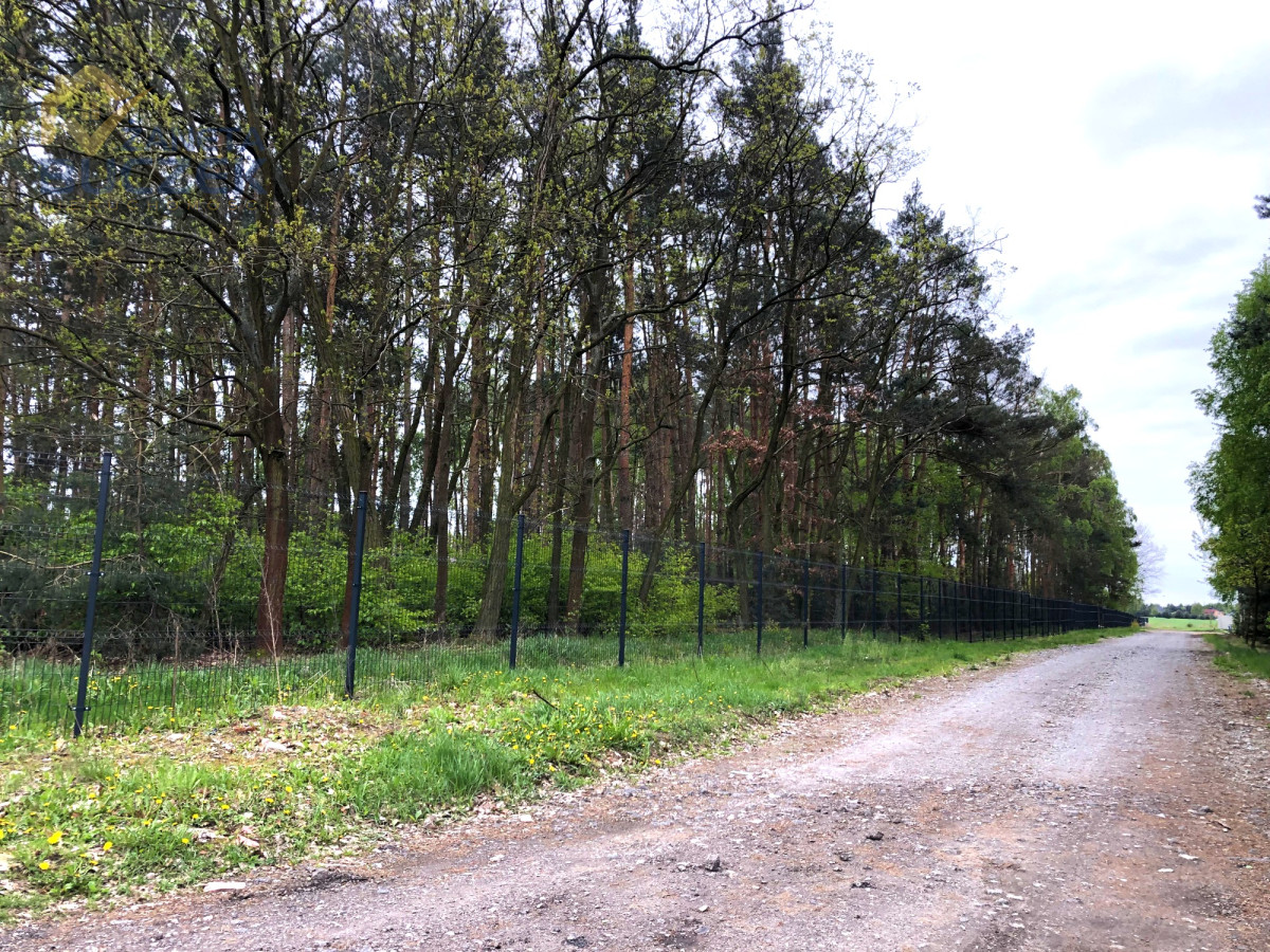 Na sprzedaż działki położone w Altance Altanka - zdjęcie 5