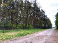 Na sprzedaż działki położone w Altance Altanka - zdjęcie 5