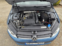 Volkswagen Golf 1.2 TSi*151tyś.km*Pełen Serwis*Gwarancja Kętrzyn - zdjęcie 5