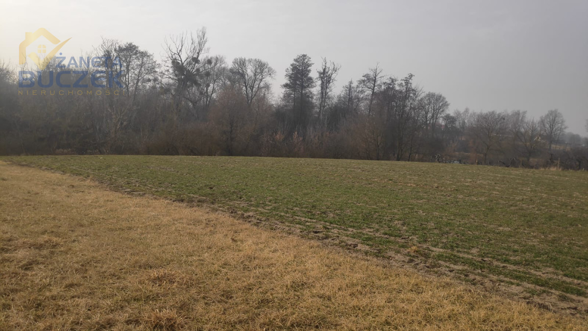 Sprzedam działki rolne z WZ w Strzyżewie Strzyżew - zdjęcie 6