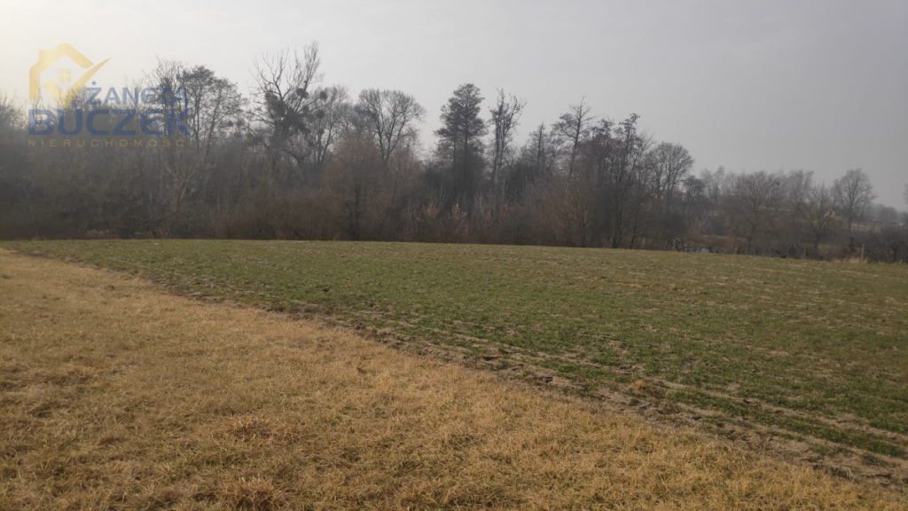 Sprzedam działki rolne z WZ w Strzyżewie Strzyżew - zdjęcie 6