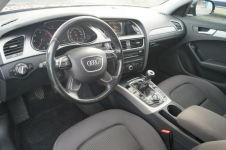 Audi A4 2.0 TDI 150KM Quattro, z Włoch, w PL 2 właściciel Stan BDB Goczałkowice-Zdrój - zdjęcie 10
