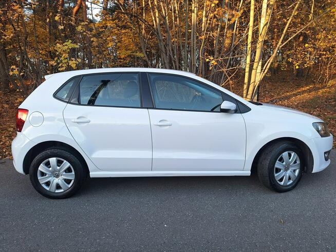 Polo Cool Trendline Siewierz - zdjęcie 5