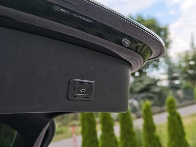 Audi A6 Sadlno - zdjęcie 10