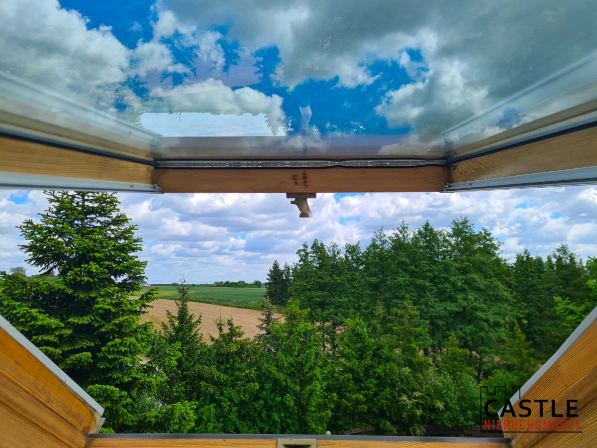 Oaza spokoju na Morasku Poznań - zdjęcie 5