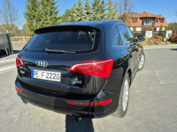 Audi Q5 xenon led navi chromy KAMERA ładny HYBRYDA quattro Drelów - zdjęcie 4