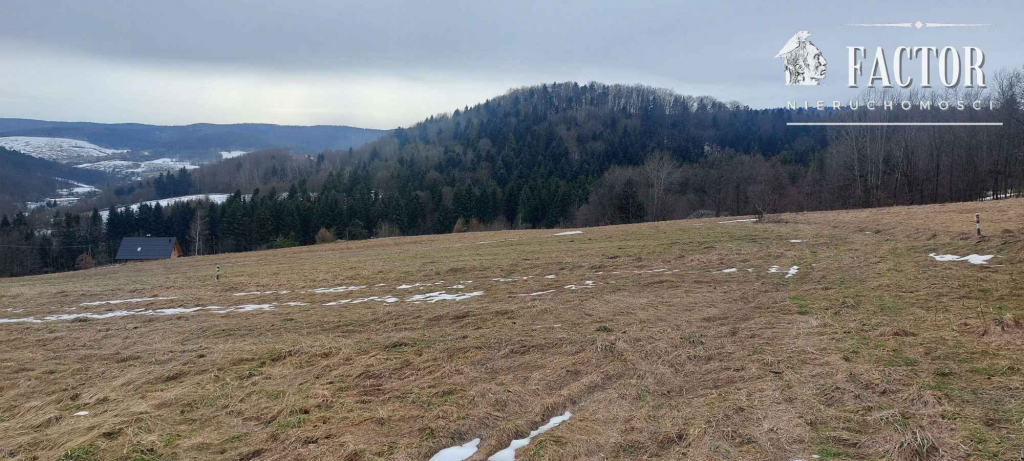 Siary działka budowlano-rolna 0,53 ha 1169S/2026 Siary - zdjęcie 3