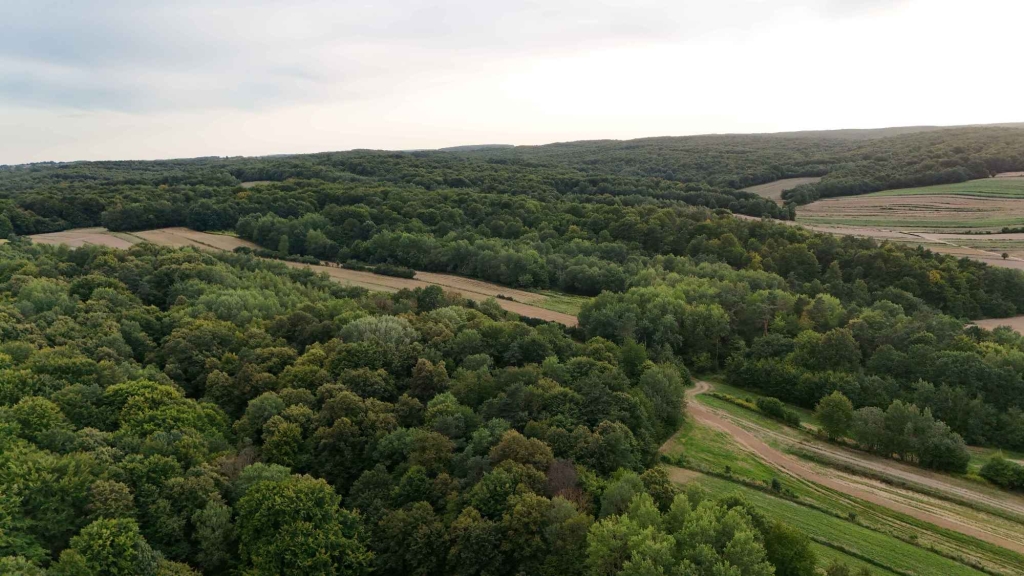 Tarnawa Duża – ponad 60 arów przy asfalcie, z warunkami na prąd i wodę Turobin - zdjęcie 8