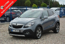 Innovation  Duża Navi Ledy BI-Xenon Skóry 2xParkt Alu 18 Aso Opel