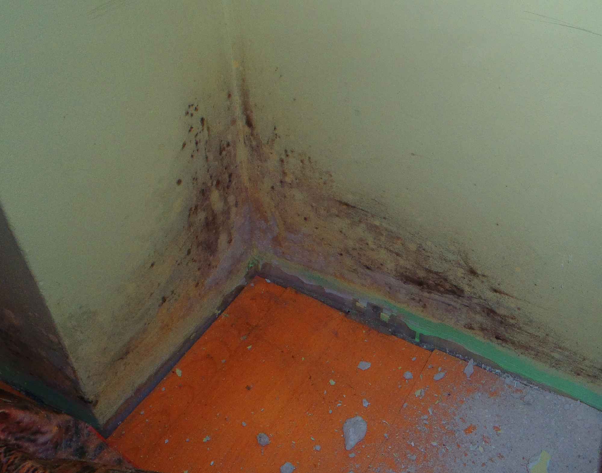 odgrzybianie pomieszcze firbau Bielsko-Biała - zdjęcie 2