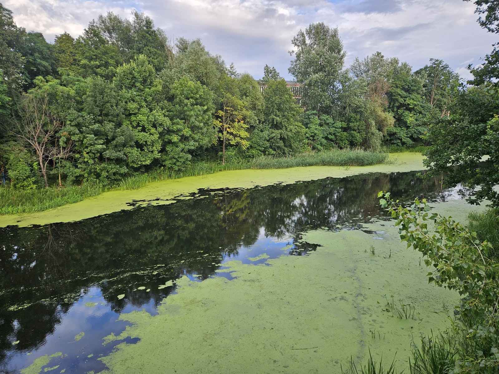 2pok, 54met, Okolice Niskich Łąk PARKING (Wrocław) Krzyki - zdjęcie 11