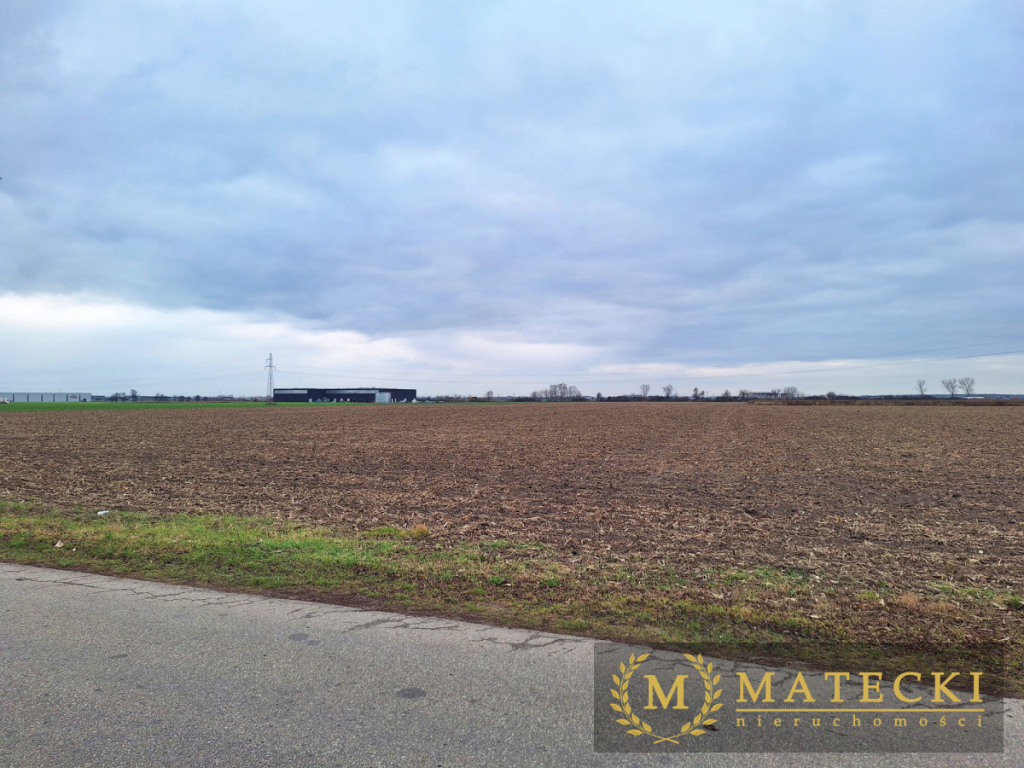 Działka AG  - 7 km od Poznania Tulce - zdjęcie 3