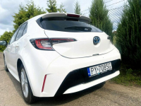 Toyota Corolla Spala poniżej 5 litrów na 100 kilometrów! Poznań - zdjęcie 8