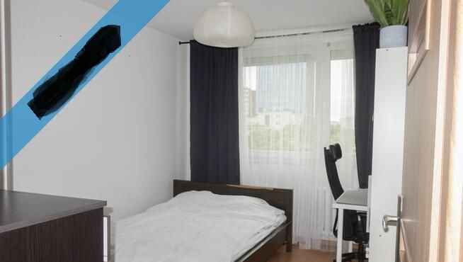 2pok, 49met, okolice Dobrej BALKON/PIWNICA (Wrocław) Stare Miasto - zdjęcie 2