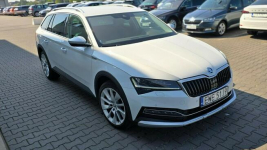 Škoda Superb Ostrów Wielkopolski - zdjęcie 6