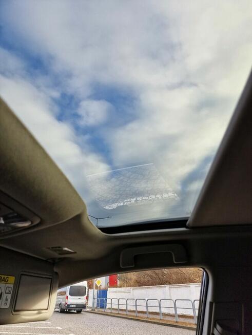 Hybryda Legnica - zdjęcie 6