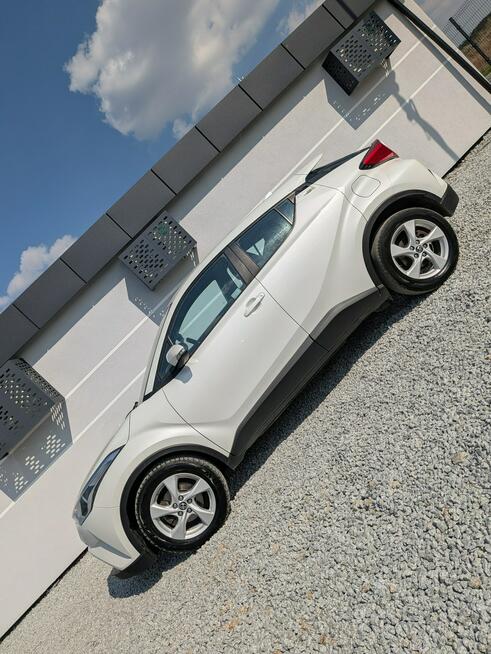 Toyota C-HR Salon PL Miękinia - zdjęcie 4