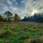 Działka budowlana Nieborów powiat łowicki Nieborów - zdjęcie 9