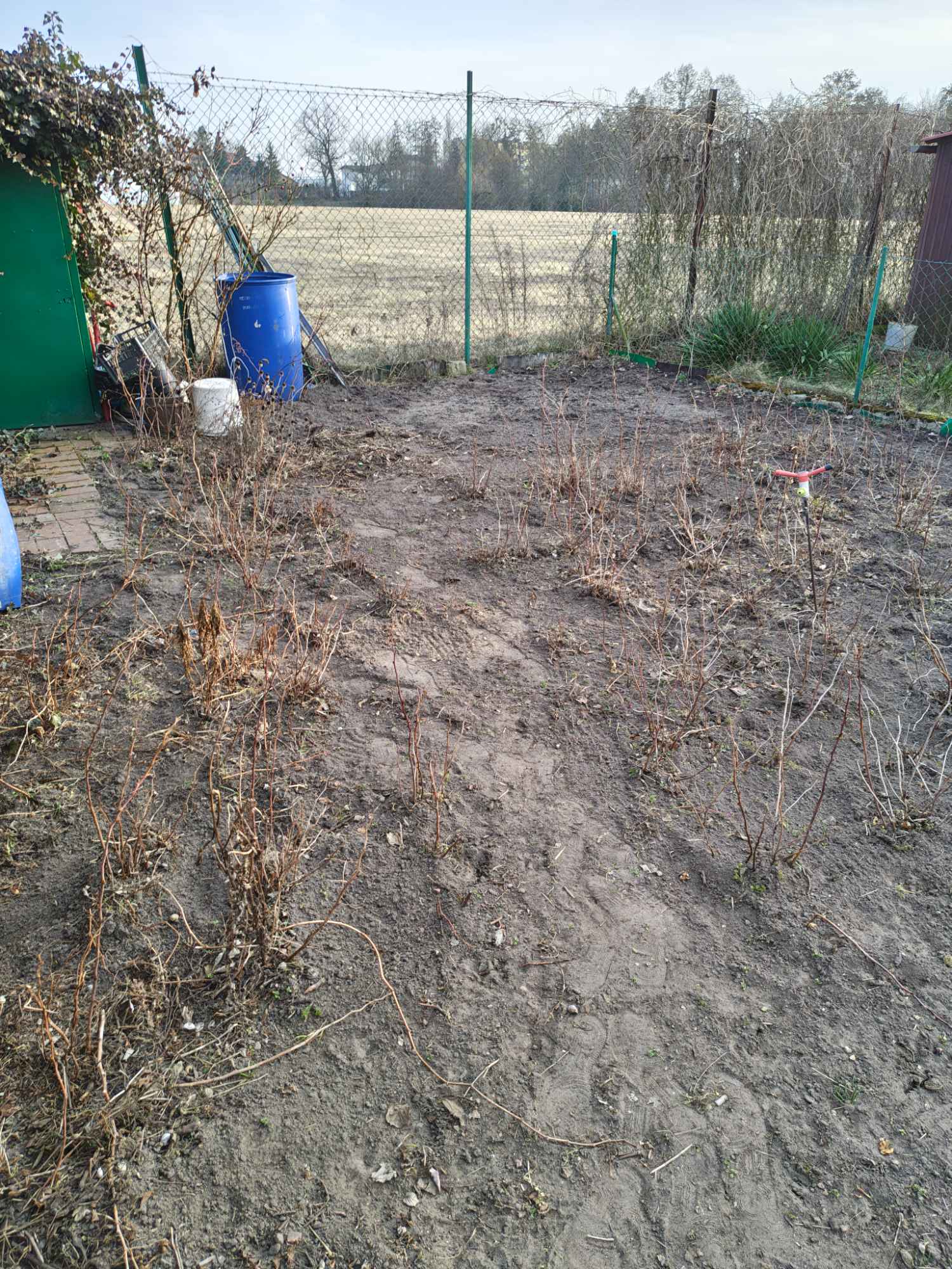 Sprzedam działkę Szamotuły - zdjęcie 4