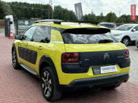 Citroen C4 Cactus Gwarancja, Super Stan, Wypas! Sade Budy - zdjęcie 10
