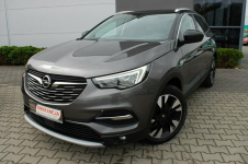 Opel Grandland X Automat,Kamera,Navi Dębica - zdjęcie 2