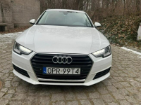 Audi A4 - Polski salon - Bezwypadkowy - 190KM - Serwisowany - Nysa - zdjęcie 10