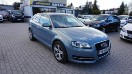 Audi A3 super stan. Gwarancja. Polecam!!! Zielona Góra - zdjęcie 3